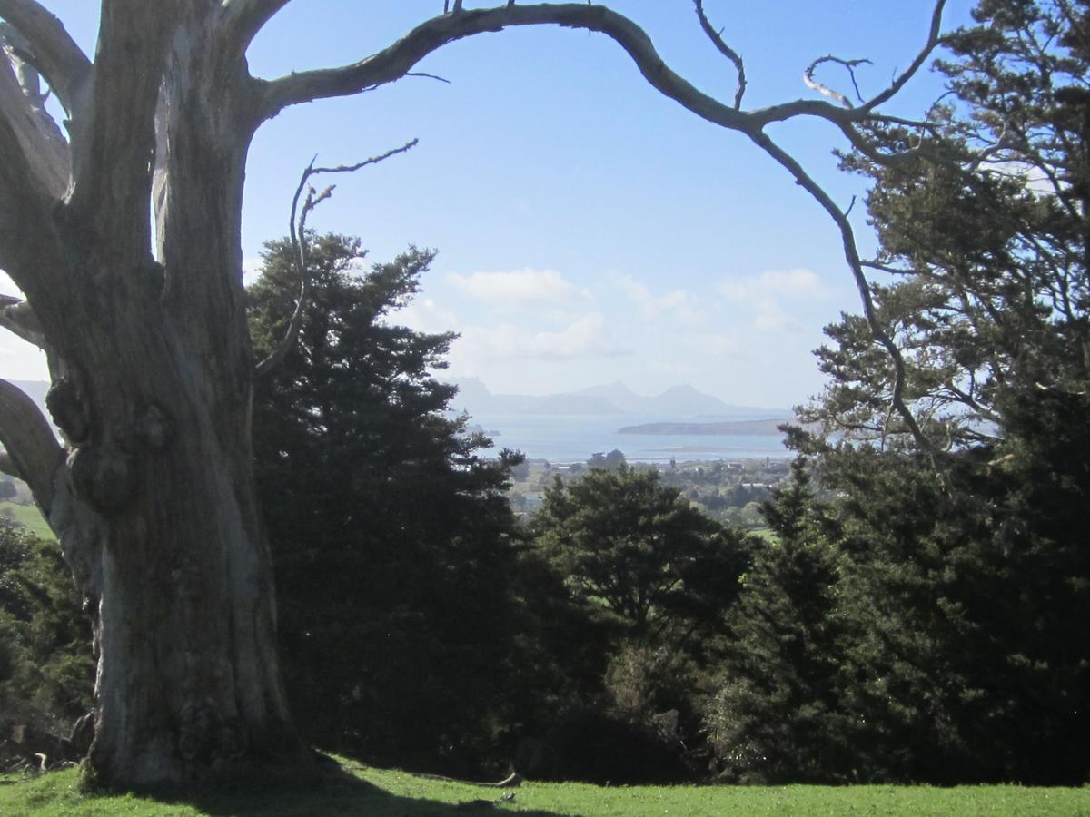 Hyecroft Lodge Whangarei Extérieur photo